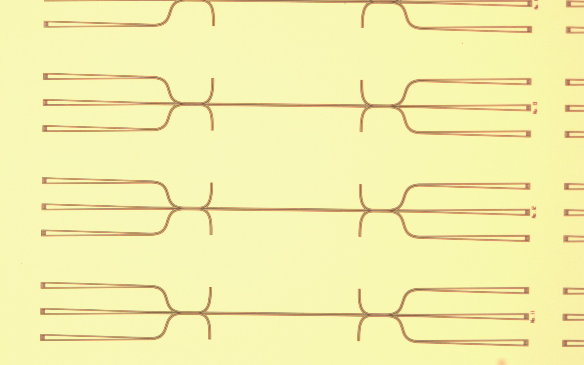 Integrated Photonics